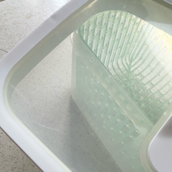 OXO GreenSaver Produce Keeper - Picture 7 of 9